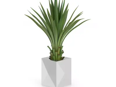 Small Palm in Metal Pot 3D model