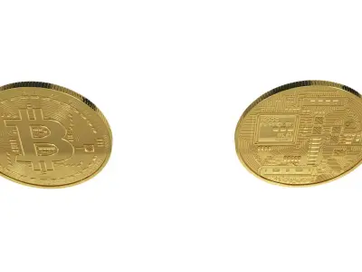Bitcoin 3D model two gold plated coins 3D print model
