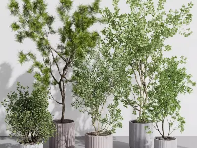 A Collection Trees in a concrete dirty vase - indoor plant 395 Low-poly 3D model