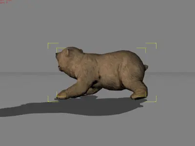 Baby Polar Bear Animal Low-poly 3D model