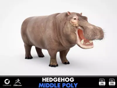 Hippopotamus Mid Poly and High Poly 3D model