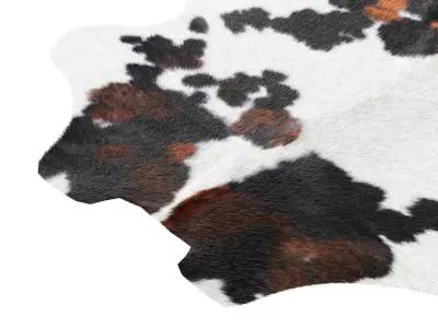 Tricolor Cowhide Rug A26824 3D model