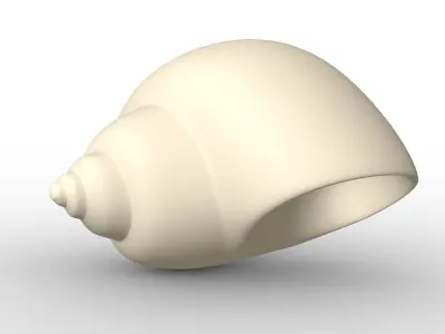 Shell geometry 3D model