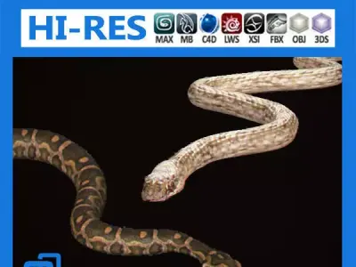 Pack - Snakes 3D model