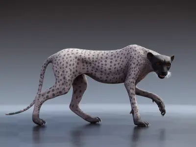 Cheetah - body with RIG including textures and shading 3D model