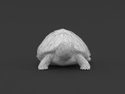 Low Poly Turtle Tortoise Low-poly 3D model