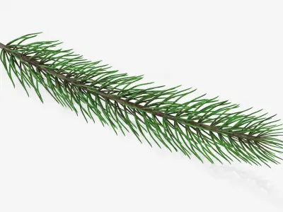 Fir tree branch 01 3D model