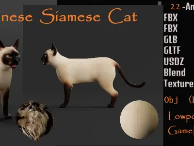 Tonkinese Cat Low-poly 3D model