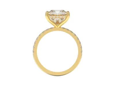 Engagement Ring Princess Cut Center Diamond 3D print model
