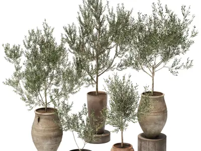 plant in pots  set 12 3D model