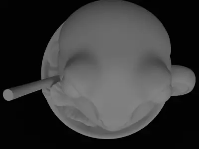 Froggito Machito New Brainrot 3D model figurine for 3D printing 3D print model