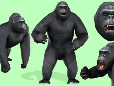 Gorilla Rigged Animated 9 Low-poly 3D model