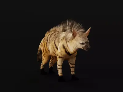 Aardwolf Hyena Animal  Low-poly 3D model