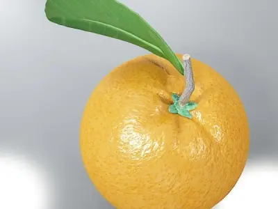 Orange High Detailed High resolution textures 3D model