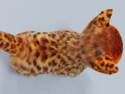 Fur Cute Cat kitten Jungle No Rig Low-poly 3D model