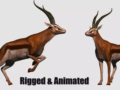 animated gazelle 3D model