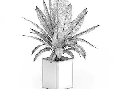 Plant in Square Blue Pot 3D model