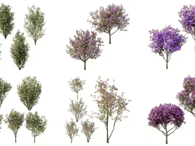 xcellent collection of Outdoor plants 20 Different Models 0053