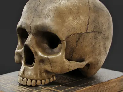 Skull and Books 3D model