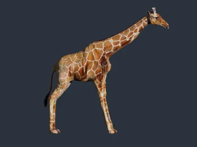 giraffe 3D model