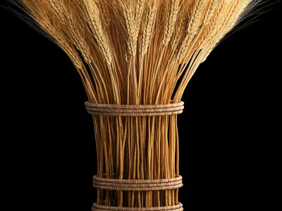 Bouquet of dried flowers from spikelets of wheat 287 3D model