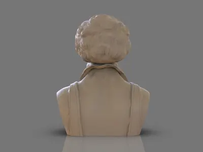 Wookalar Bust 3D print model