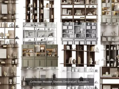 Collection Wooden Shelves Decorative