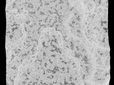453-RockPanel rock texture 3D model