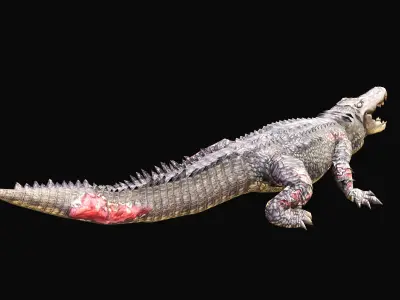 Low Poly Alligator 3D Animal - Ready for Games -22 Animations Low-poly 3D model