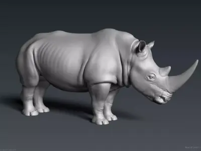 White Rhinoceros - Highpoly Sculpture 3D model