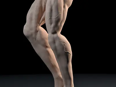 Bodybuilder Side Chest Pose 3D print model