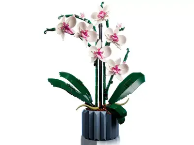 TwindBricks3D - 10311 Orchid - Elegant and Lifelike Floral Decor 3D print model