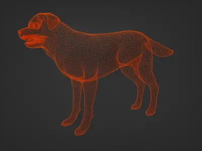 DOG - ROTTWEILER Low-poly 3D model