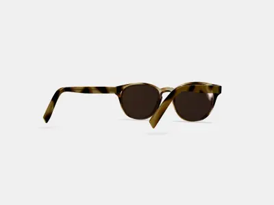 Percey Sunglasses in Striped Sassafras 3D model