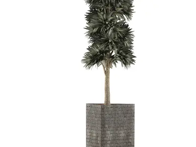 Plants Collection 113 3D model