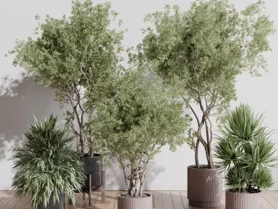 indoor plant set 408 plant tree palm bush concrete dirt vase Low-poly 3D model