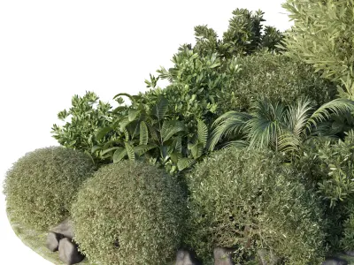 Garden set topiary and tropical plants - outdoor plant 3D model