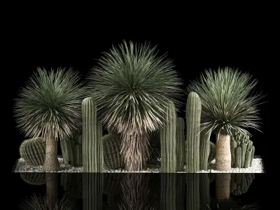 Plants Desert Flowerbed With Cactus 3D model