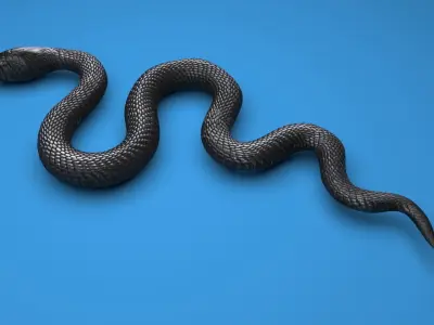 Snake 3D model