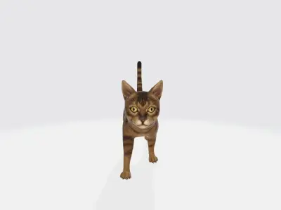 Cat High poly 3D model