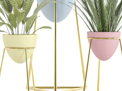 indoor plant set 055 Low-poly 3D model