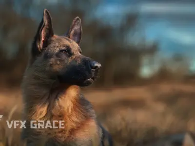 German Shepherd Animated 3D model