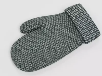 -Winter Glove- 3D model