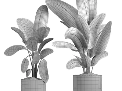 indoor plant 048 3D model