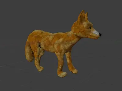 Coyote Puppy 3D model
