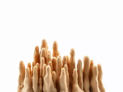 Sandstone Stalagmite Formation model pack Texture