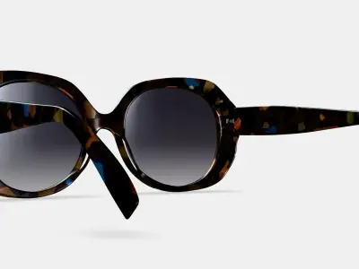 Rosetta Sunglasses in Amalfi Tortoise Low-poly 3D model