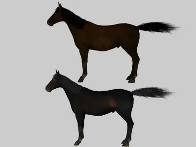 Realistic Horse 3D Model Pack 2 Variants  Game Ready Animals Low-poly 3D model