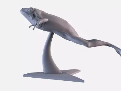 Frog 3D Printing 3D print model