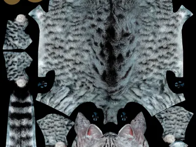 Cat - British  Silver Tabby - Young Kitten - Rigged Custom Low-poly 3D model